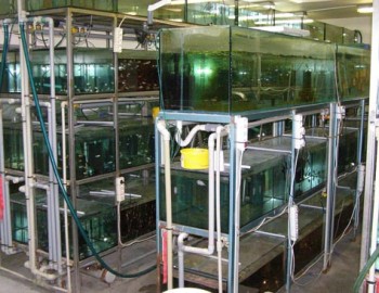 Řízení technologií vytápění velkoobchodu s akvarijními rybkami