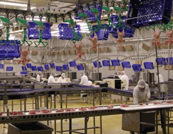 Ovládání provozu na porcování kuřat ve společnosti PROMT a.s.